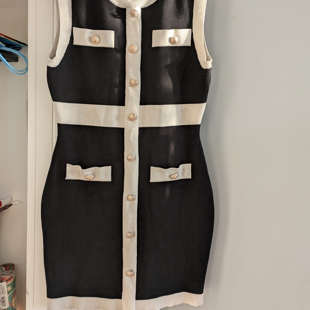 Endless Rose Black and Cream Mini Dress